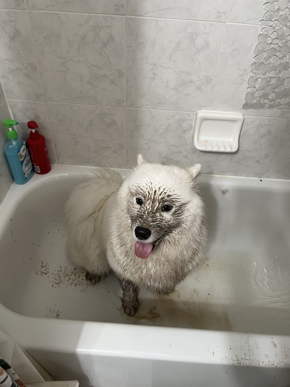 Kissy