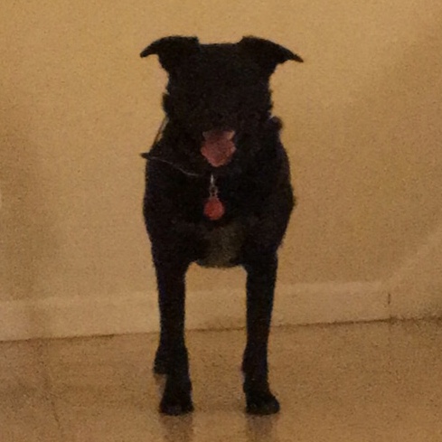 Oakley
